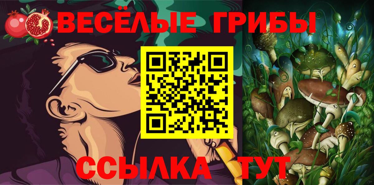 Иваново  Псилоцибиновые грибы ЛСД  Вход с VPN  Галлюциногенные грибы ЛСД 
